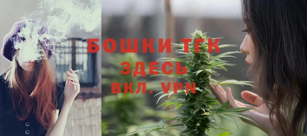 стафф Протвино
