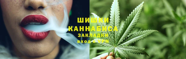 стафф Протвино