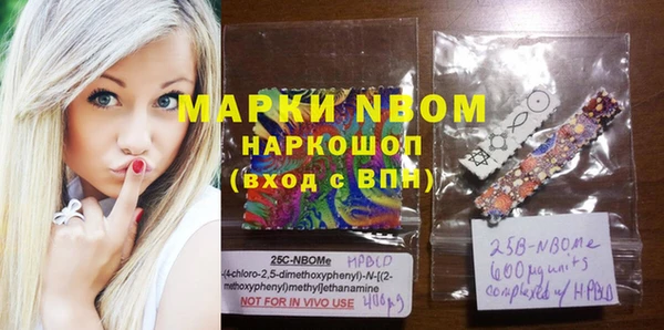 стафф Протвино
