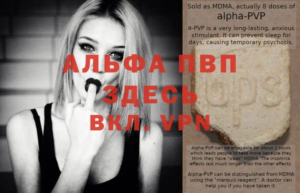 спиды Тутаев
