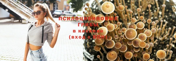 мет Пролетарск