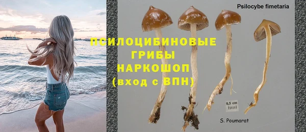 стафф Протвино