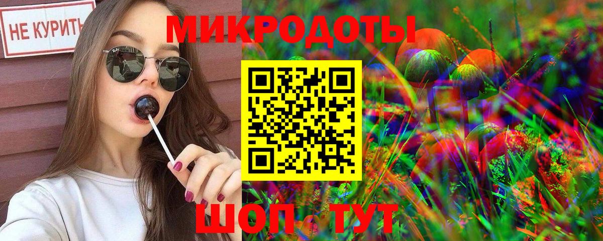 Выборг  Галлюциногенные грибы прущие грибы  Вход с VPN 