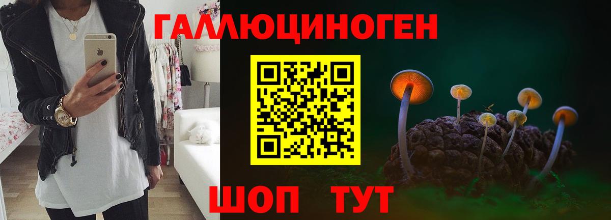 Псилоцибиновые грибы прущие грибы Выборг